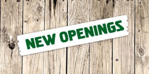 new opening.1