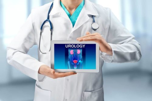 urologia
