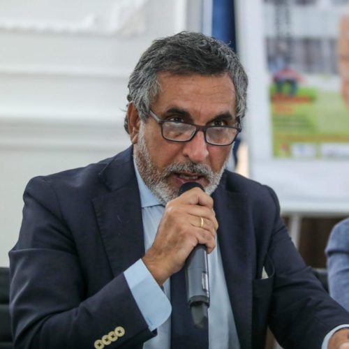 salvocannizzaro
